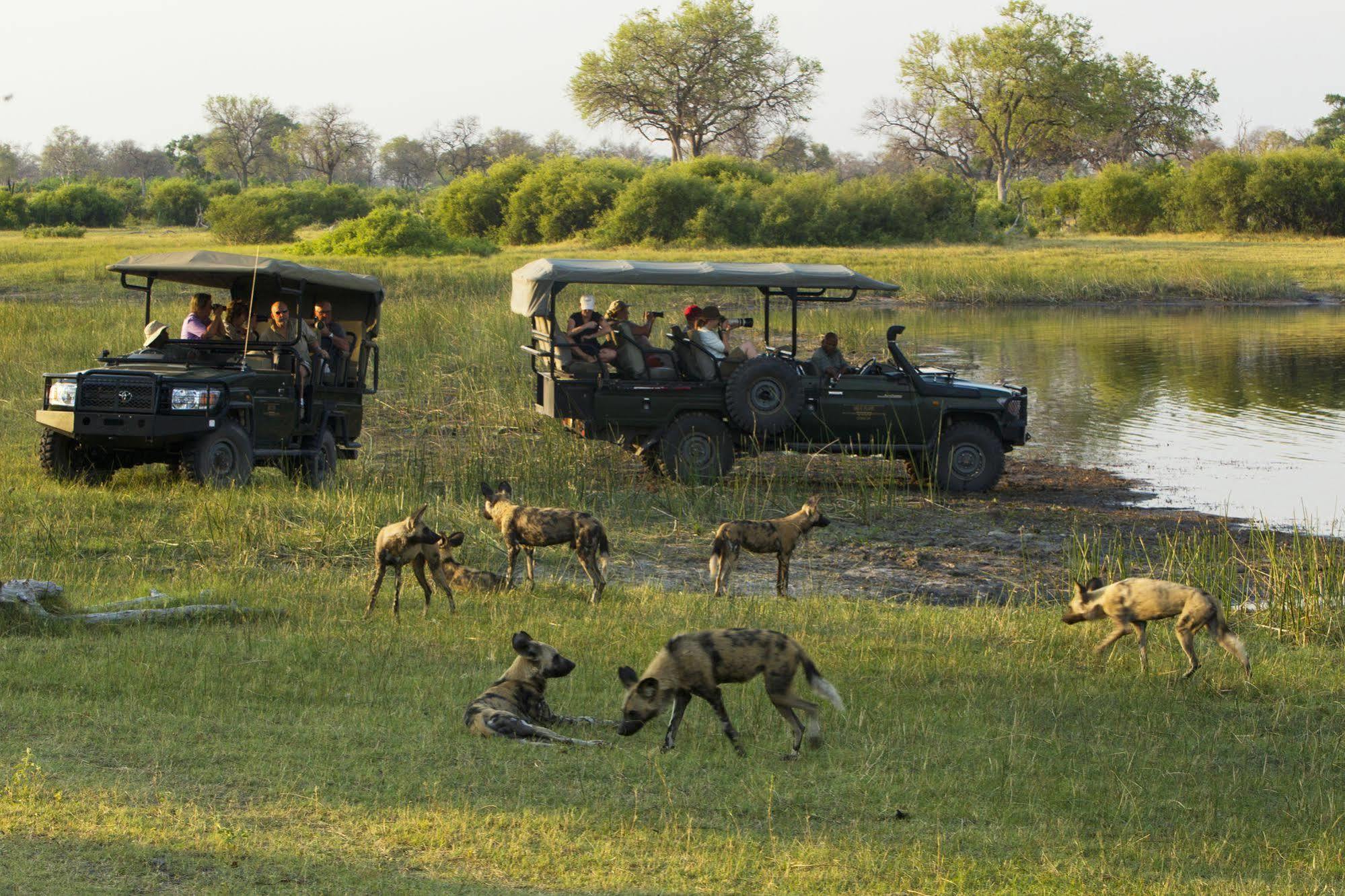 Selinda Camp Ξενοδοχείο Selinda Reserve Εξωτερικό φωτογραφία