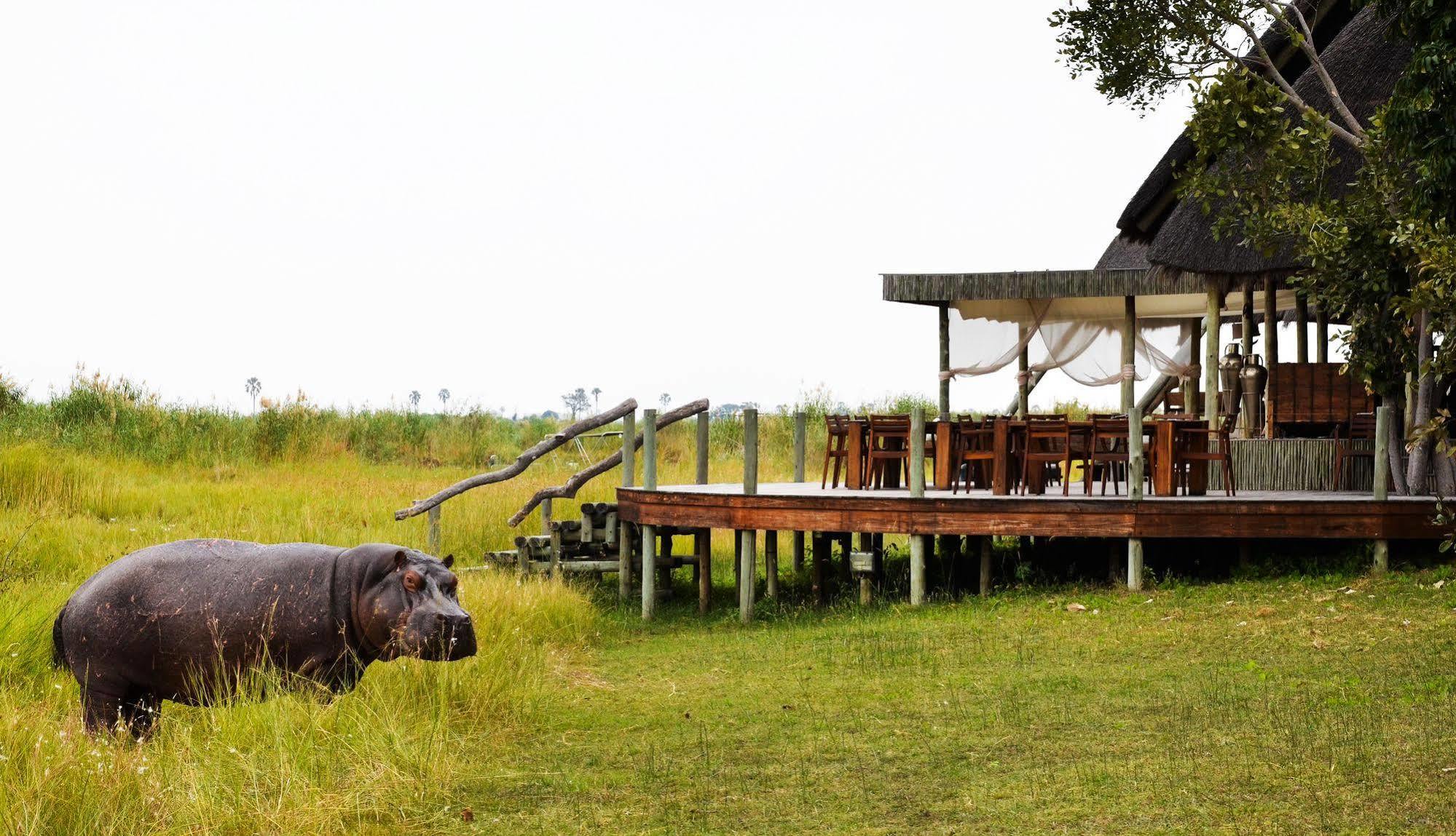 Selinda Camp Ξενοδοχείο Selinda Reserve Εξωτερικό φωτογραφία
